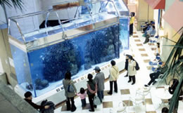 大型アクリル海水魚水槽