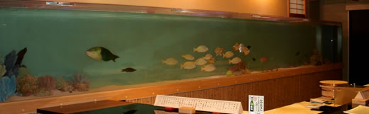 6.5m海水魚水槽